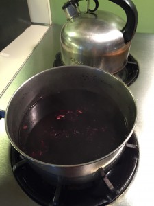 Elderberry Syrup for Colds/Flu